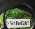 7 Smart Food Safety Tips To Prevent Sickness
