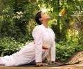 World Hypertension Day: 5 Asanas To Help Lower Blood Pressure
