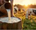 Which Country Produces The Most Milk?
