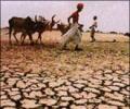 PM names top panel to monitor drought