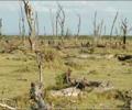 Poor monsoon due to El Nino winds from Pacific