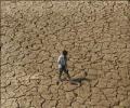 Govt admits drought, but  says no need to panic