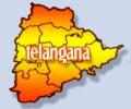 Telangana takes zing off revelry