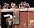 Indian Rail's just a snail