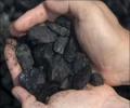 Bengal Inc's latest bone of contention: Coal India