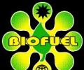 Planes on biofuel? Test flights on