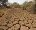 'Drought to hit small farmers in India'