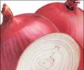 Onion prices rise to Rs 30/kg