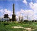 Decision on NTPC divestment delayed
