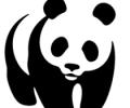 WWF to create 'green' domain names