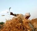 NREGA processes 'unfair' in Kerala