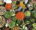 Food inflation rises marginally to 8.69%