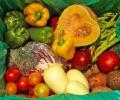 Food Security Act may float backup fund