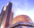 'Expect another strong year of FII inflows'