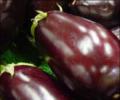 The Bt brinjal saga: When emotions ran high