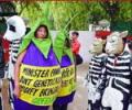 India says no to Bt brinjal, for now