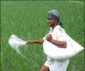 Fertilizers: Cut customs duty on inputs
