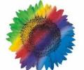 Wipro Tech may lay off 85 people in R&D