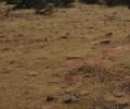 NTC to sell mill land via e-auction
