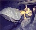 'October auspicious for CIL IPO'