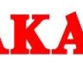 Akai eyes Rs 435 crore this fiscal;to enter IT biz