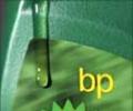 Oil spill: BP sets aside $20 bn for damage claims