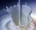 Ban extended on import of milk from China