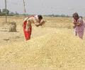 Mid-term review likely to lower growth rate to 8%
