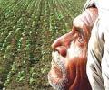 Boost in agriculture must for 10% growth: PM