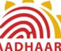Organisations to enrol for unique entity IDs
