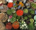 Sep inflation may ease on lower food, fuel costs