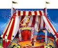 SC bans employment of children in circuses