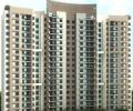 Credai makes carpet area mention mandatory