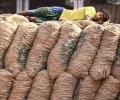 External factors feeding into price rise
