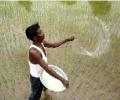 Climate-resilient farming now underway
