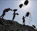 CIL eyes 15% stake in Aussie firm for $100 mn