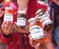 How 100 rural women are making money from jams