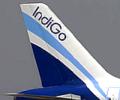 Fake licensing: IndiGo grounds pilot on complaints
