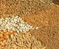 More rice, wheat at ration shops for BPL families