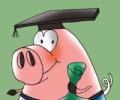 Education loans: Good marks, no security
