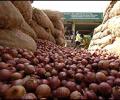 Govt prohibits onion exports, lifts ban on wheat