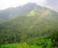 CIC orders report on Western Ghats be made public