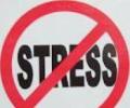 Workplace stress levels slow down