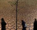 'India will manage inflation despite sub-par monsoon forecast'