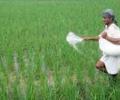 Fertilizer to gain from tax benefits for investments