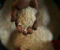 Why the govt should not roll back procurement policy