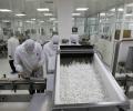 As red tape grows, pharma research flees India