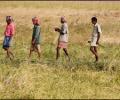 Land Bill in Cabinet in two weeks: Jairam