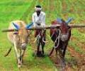 MGNREGA work days increased, relief on crop loans
