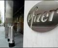 Pfizer reduces field staff base in India